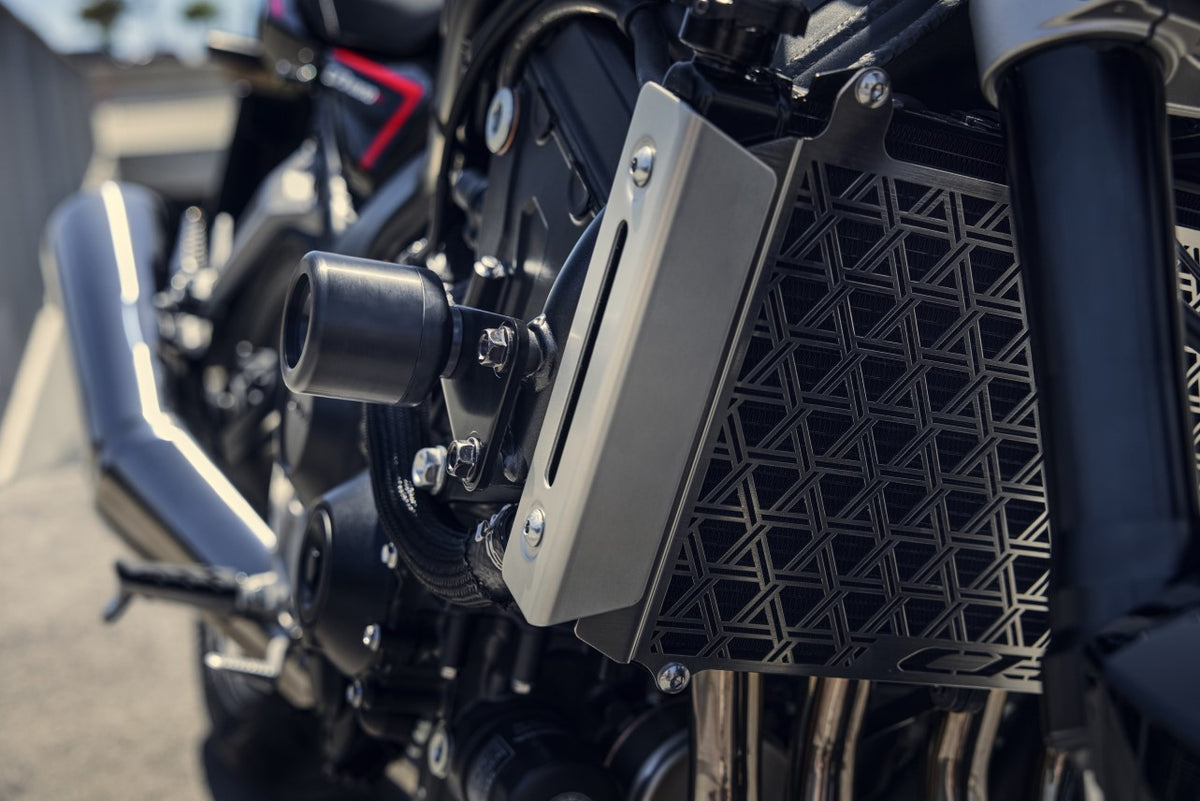 Honda CB1000F Engine Guard