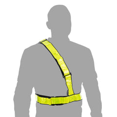 Oxford Bright Belt